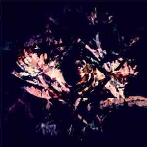 Fredrik - Flora Album