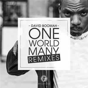 David Boomah - One World Many Remixes Album