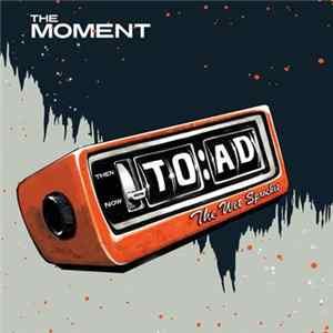 Toad The Wet Sprocket - The Moment Album