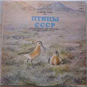 Б. Вепринцев - Кулики: Веретенники, Плавунчики, Песочники = Waders Album