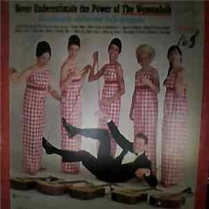 The Womenfolk - Never Underestimate The Power Of The Womenfolk Album