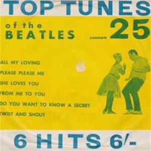 The Beetle-Brows - Top Tunes Of The Beatles Album