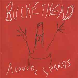 Buckethead - Acoustic Shards Album