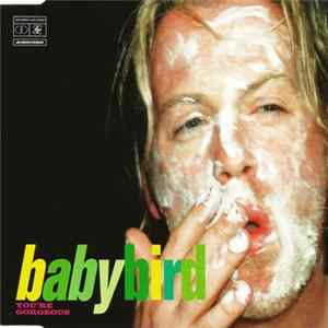 Babybird - You're Gorgeous Album