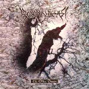 Borknagar - The Olden Domain Album