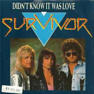 Survivor - Didn't Know It Was Love Album