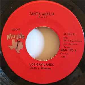 Los Gavilanes - Santa Amalia Album