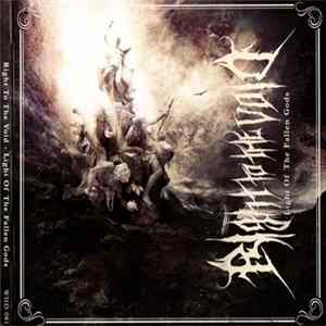 Right To The Void - Light Of The Fallen Gods Album