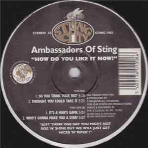 Ambassadors Of Sting - How Do You Like It Now? Album