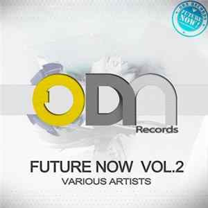 Various - Future Now Vol 2 Album