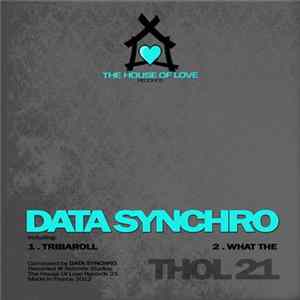 Data Synchro - What The Ep Album