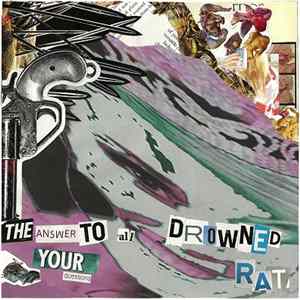 The Answer To All Your Questions / Drowned Rat - Decayed Screams Album