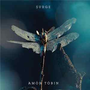 Amon Tobin - Surge Album
