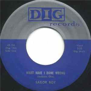 Sailor Boy - What Have I Done Wrong Album