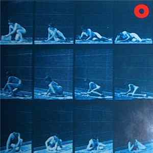 Damo Suzuki Band Album