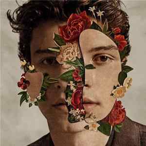 Shawn Mendes - Shawn Mendes Album
