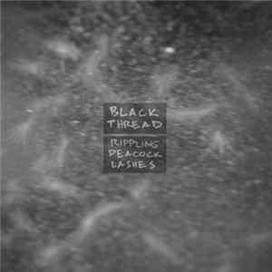 Black Thread - Rippling Peacock Lashes Album