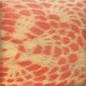 Crystal Gamelan Surf / Mark Bradley / Aghori / Royallen - Split Album