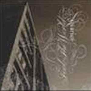 Fool The World - Avarice Album