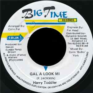 Harry Toddler - Gal A Look Mi Album