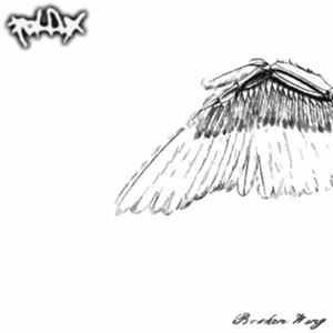 Pollux - Broken Wing Album