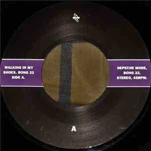 Depeche Mode - Walking In My Shoes Album
