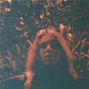 Turnover - Peripheral Vision Album