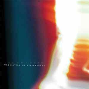 Detune Distortion Despondency - Modulation of Differences Album