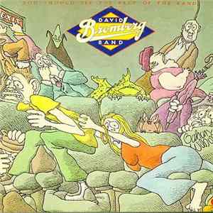 David Bromberg Band - You Should See The Rest Of The Band Album
