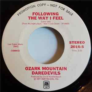 Ozark Mountain Daredevils - Following The Way I Feel Album