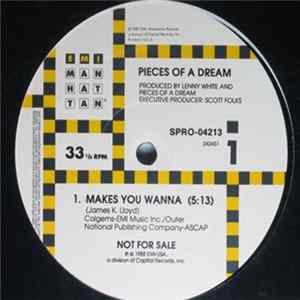 Pieces Of A Dream - Makes You Wanna Album