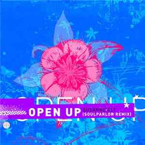 Susanne Alt - Open Up (SoulParlor Remix) Album