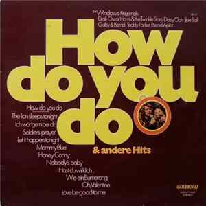 Various - How Do You Do Und Andere Hits Album