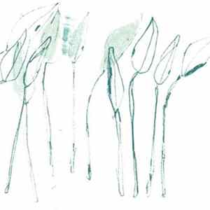 Cass. - Hiding Place Album