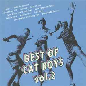 Cat Boys - Best Of Cat Boys Vol. 2 Album