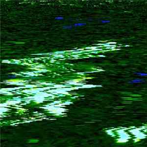 Yohji Watanabe - Wata Album