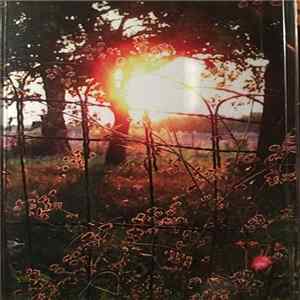 Fires Were Shot - Pieces Of The White Sun Album