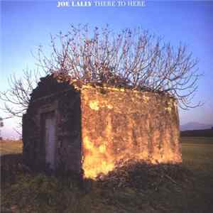 Joe Lally - There To Here Album