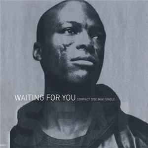 Seal - Waiting For You Album