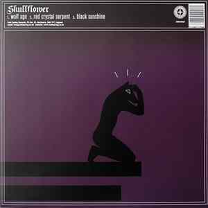 Skullflower / Mastery - Skullflower / Mastery Album