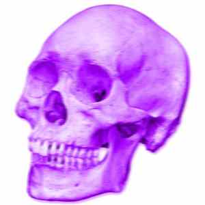 Joseph Strength Audio / Niku Senpuki / Deterioro Nervioso Irreversible, Autito, El Niño Autista - The Purple Skull Album