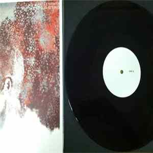 Joy Wants Eternity - The Fog Is Rising Album