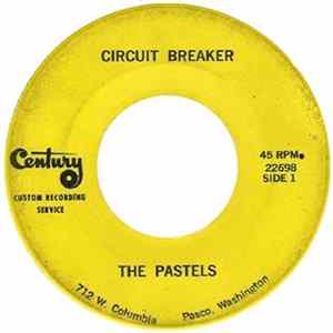 The Pastels - Circuit Breaker / How Many Nights Album