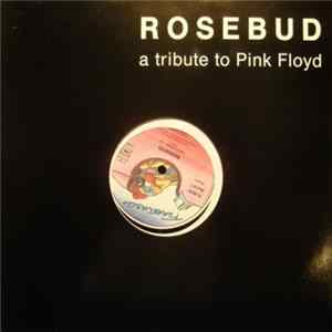 Rosebud - Have A Cigar / Money (A Tribute To Pink Floyd) Album