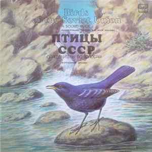 No Artist - Воробьиные: Дрозды (Passeriformes: Thrushes and Rock Thrushes) Album