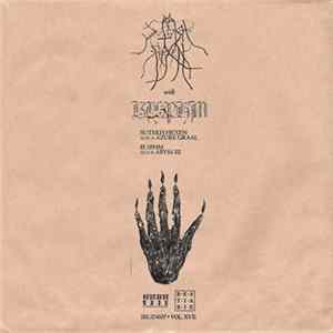 Sutekh Hexen / BLSPHM - Sutekh Hexen / BLSPHM Album