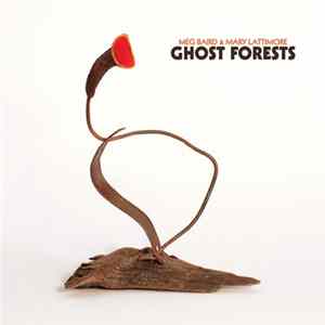 Meg Baird & Mary Lattimore - Ghost Forests Album