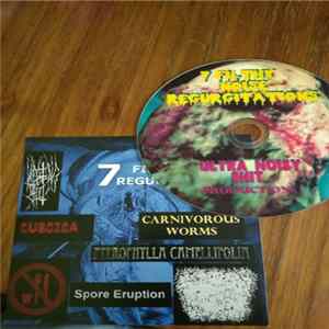 Spore Eruption / Vomiting Shit / Carnivorous Nausea / Pterophylla Camellifolia / Pro Anorexia / Cubozoa / Carnivorous Worms - 7 Filthy Noise Regurgitations Album