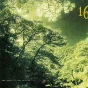 16 Tambourines - How Green Is Your Valley ? Album