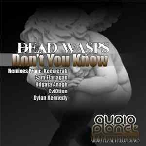 Dead Wasps - Don't You Know Album